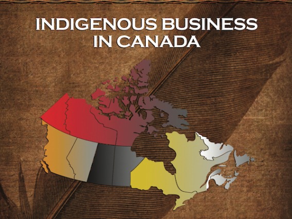 Indigenous Business in Canada Book 