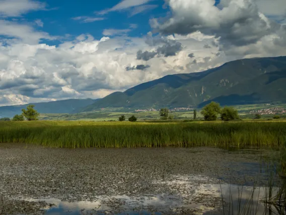Environment & Natural Resources