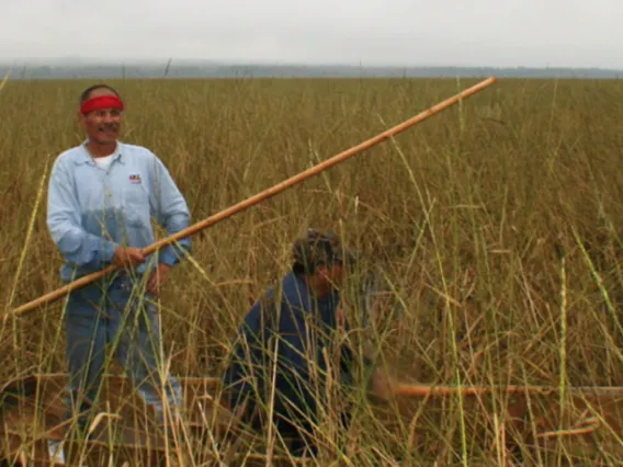 Building an Indigenous Foods Knowledges Network Through Relational Accountability