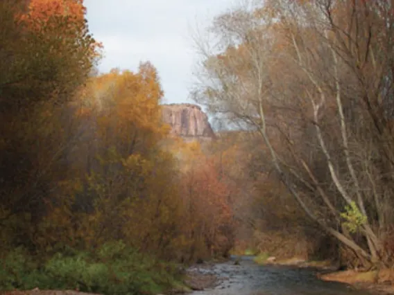 Big Sycamore Stands Alone: The Western Apaches, Aravaipa, and the Struggle for Place