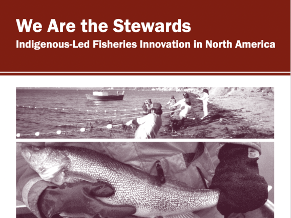 We Are the Stewards_Indigenous-Led Fisheries Innovation in North America
