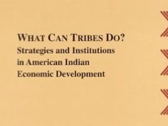 What Can Tribes Do?
