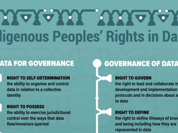 Indigenous Peoples' Right in Data