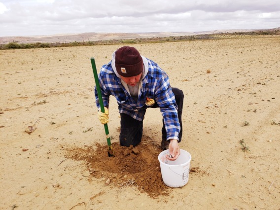 Michael Kotutwa Johnson uses traditional Hopi farming methods to plant seeds