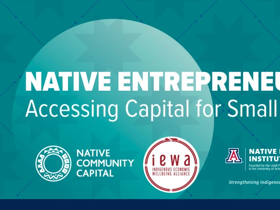 Native Entrepreneurship survey