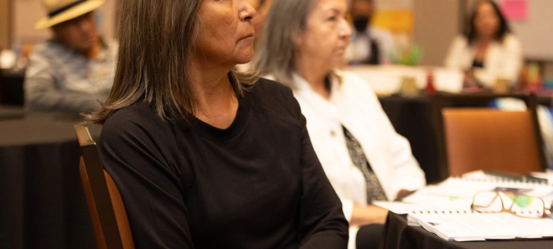 Remaking Tribal Constitutions Seminar 2022