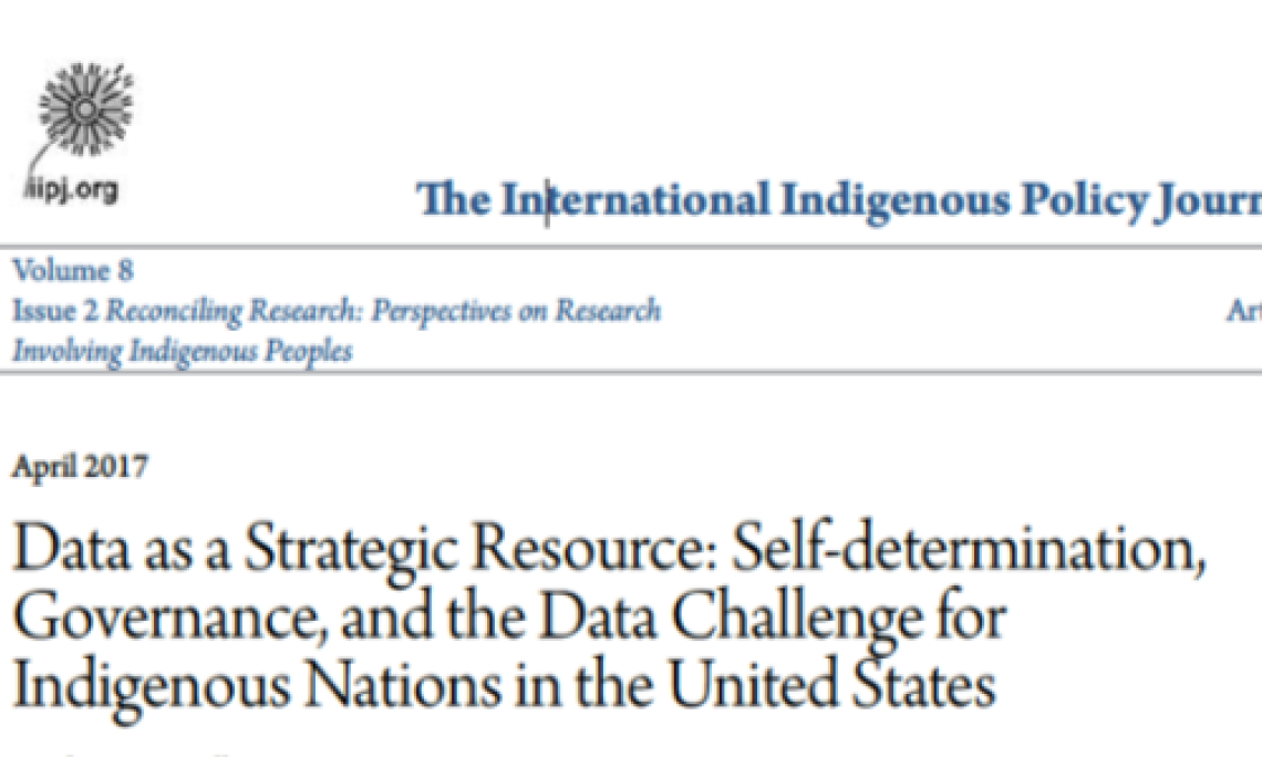 Announcing a New Publication: Data As a Strategic Resource