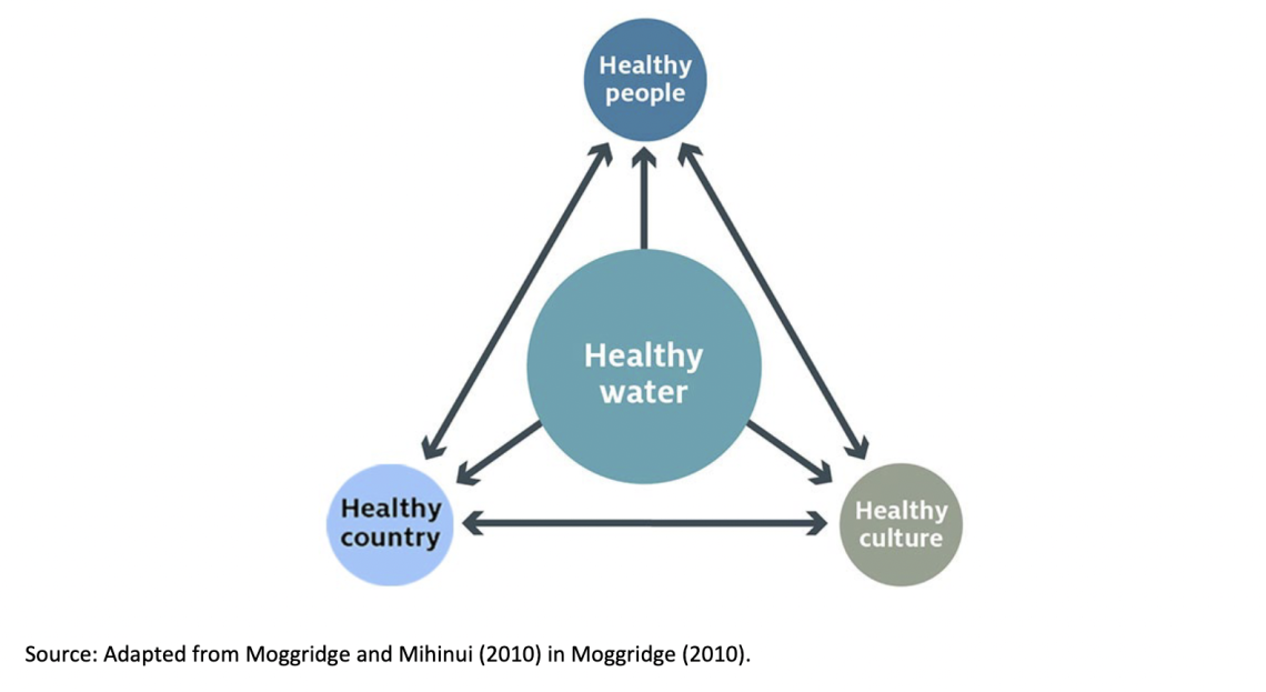 Water Back: A Review Centering Rematriation and Indigenous Water Research Sovereignty